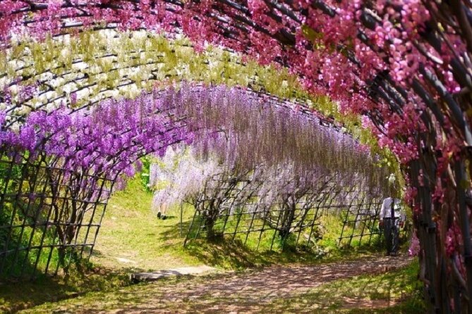 French Dining at Matsumoto Residence and Kawachi Wisteria YokaBus - Reservation and Itinerary Details