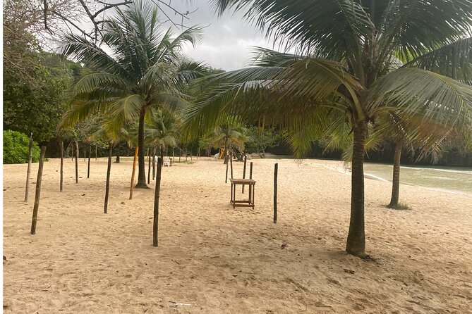 Frenchman's Cove Beach Inclusive Tour From Montego Bay - Pickup and Transportation Details