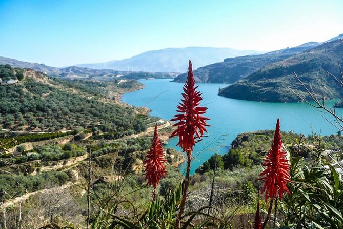 Frigiliana, Nerja Cave and The Balcony of Europe Private Tour - Booking and Cancellation