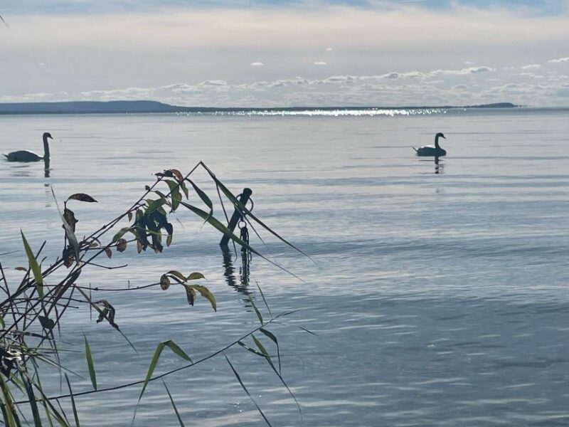 From Budapest: Wine Tasting At Balaton Full Day Private Tour - Detailed Itinerary