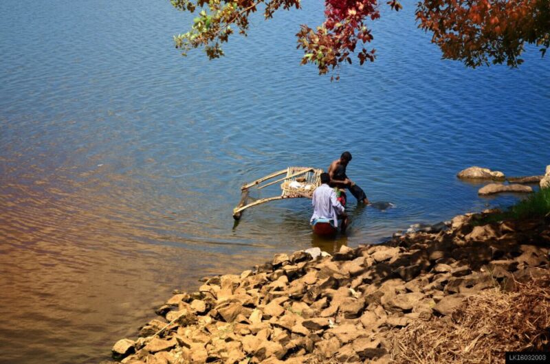 From Kandy: Mahiyanganya and Dambana Day Trip - Pickup Location