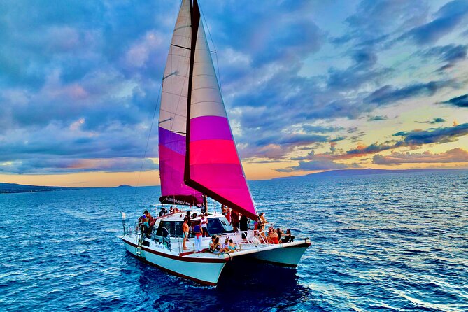 From Maalaea Harbor: Whale Watching Tours Aboard Winona Catamaran - Meeting and Accessibility Information