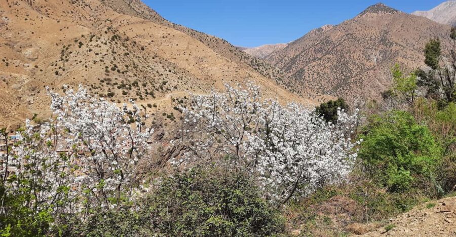 From Marrakesh: Ourika Valley & Atlas Mountains Day Trip