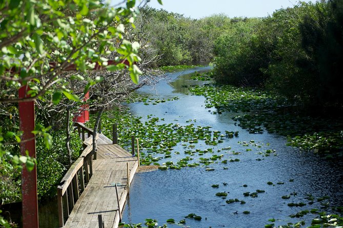 From Miami: Everglades Airboat, Wildlife Show, and Roundtrip Bus - Pricing and Booking Information