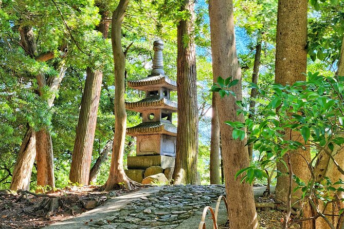 From Nagoya: Castles and Canals in Hikone and Omi Hachiman - Accessibility and Participation