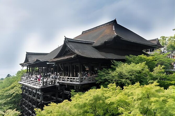 From Osaka: 10-hour Private Custom Tour to Kyoto - Positive Feedback