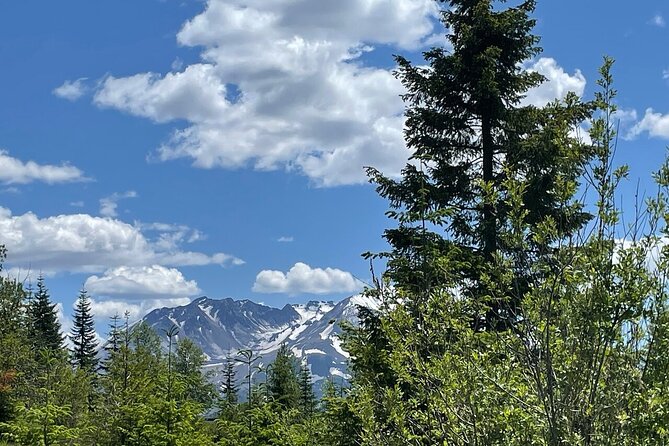 From Portland to Mt. Saint Helen Tour in a Small Group - Inclusions and Accessibility