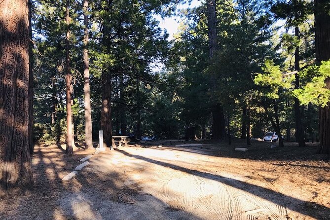 From San Diego Adventure Review: A Must-Experience - Exploring the Idyllwild Wilderness