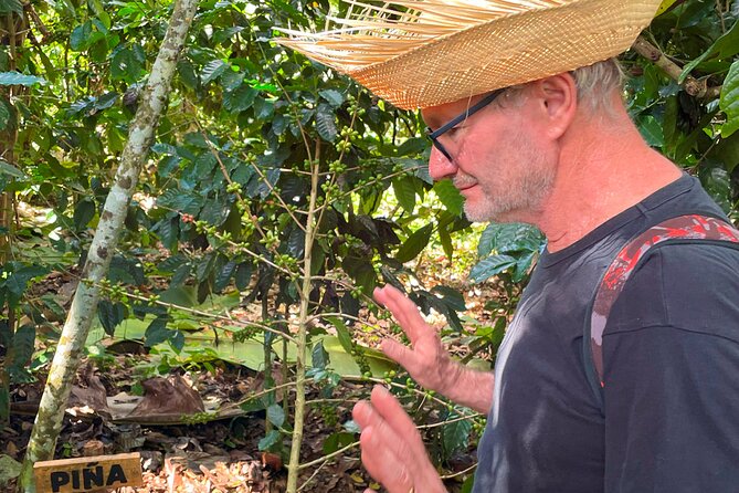 From the Mata to the Cup: Travel Along the Coffee Route in Polo Barahona - Booking and Payment Options