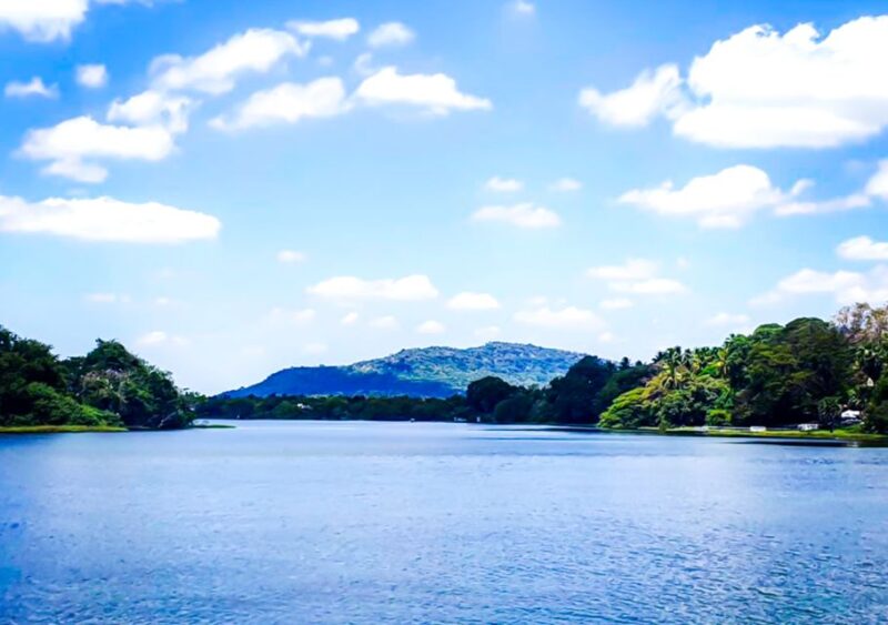 From Yala: Sunset Lake Boat Tour and Beach BBQ Dinner - BBQ Dinner Experience