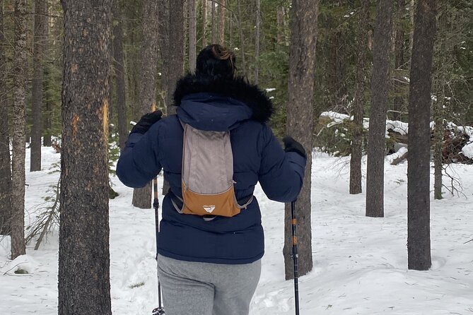 Frozen Waterfall Snowshoe Tour Review - Meeting Point and Transportation