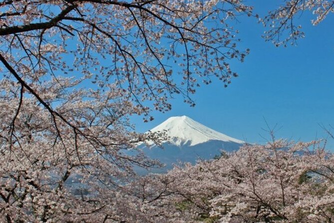 Fuji Speedway Self Drive & Mt. Fuji Private Tour Pickup on LEXUS - Tour Schedule