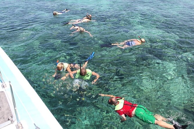 Full Day All Inclusive Sail & Snorkel With Turtles in Rose Island - Experiencing the Sail & Snorkel