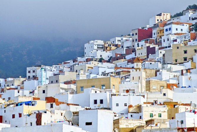 Full-Day Cadiz to Tangier Private Tour With Pick up and Lunch - Reviews and Customer Feedback