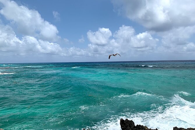 Full-Day Catamaran Cozumel Tour With Sky Snorkeling and Club - Inclusions and Amenities