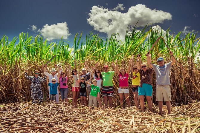 Full Day Cultural Tour From Punta Cana - Customer Reviews