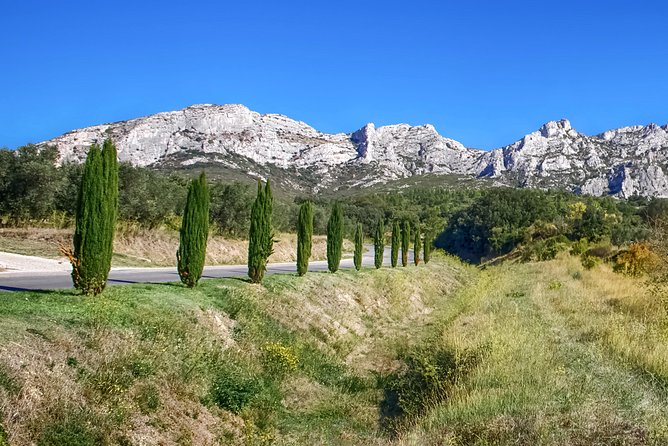 Full Day Culture and Shopping in Mc Arthur Glen Provence From Avignon - Lunch in Provence
