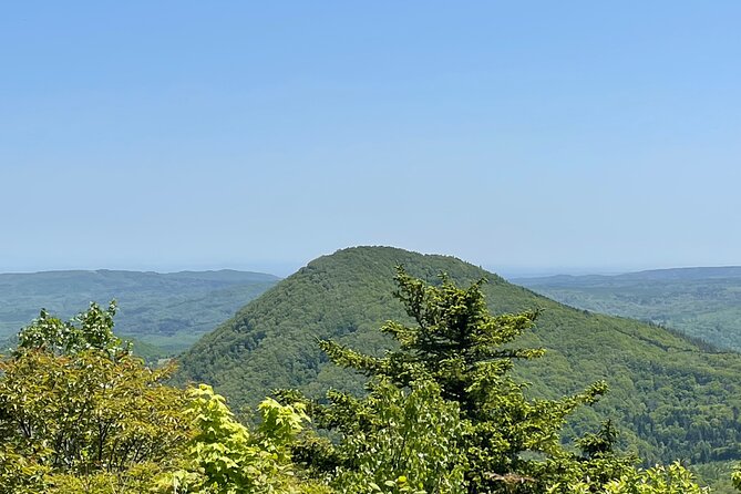 Full Day Green Season Hiking in Sapporo and Hokkaido With Onsen. - Exploring the Green Landscapes of Sapporo and Hokkaido