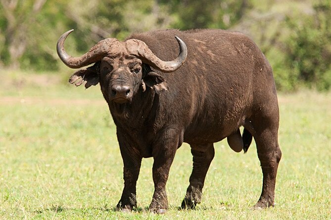 Full Day Isimangaliso Wetlands & Boat Cruise Tour From Durban - Pickup and Departure