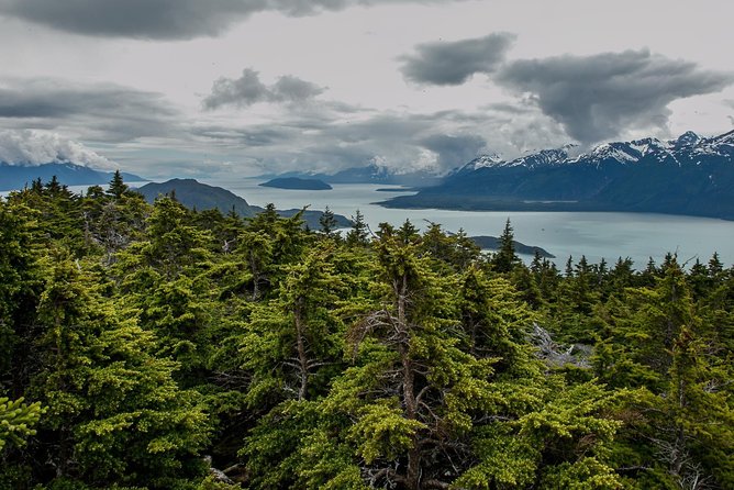 Full-Day Mount Riley Hike Review - Meeting and Additional Information