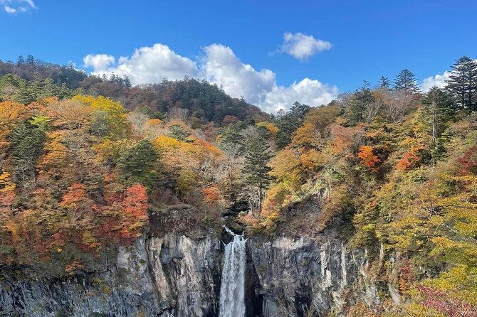 Full Day Nikko Private Tour With English Speaking Guide. - Health and Accessibility