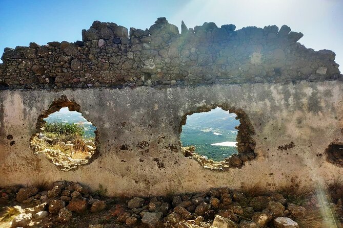 Full-Day Private Culinary Oil and Wine Tasting Tour in Crete - Olive Oil Tasting
