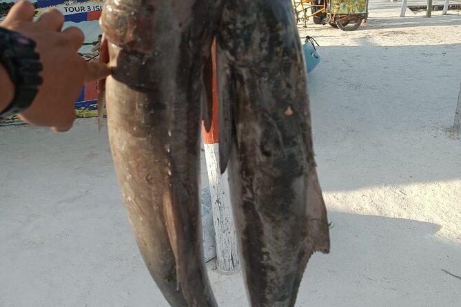 Full Day Private Deep Sea Fishing in Holbox - Pricing Details