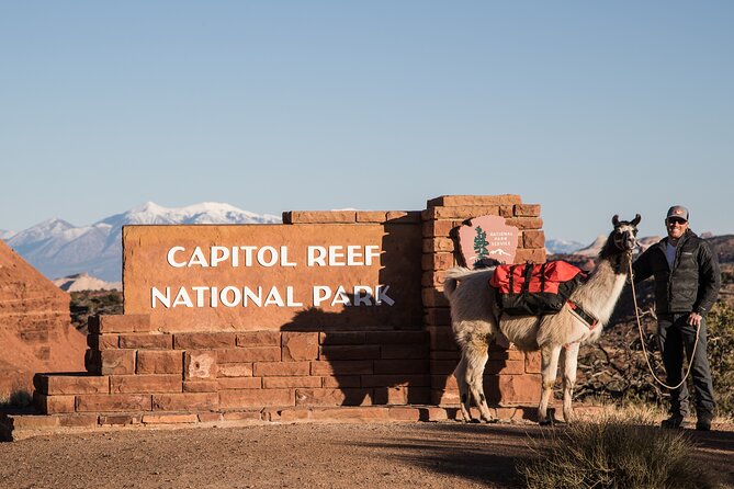 Full-Day Private Guided Llama Hikes Review - Inclusions and Amenities