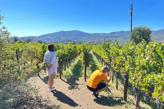Full Day Private Napa Valley Wine Experience - Accessibility Features