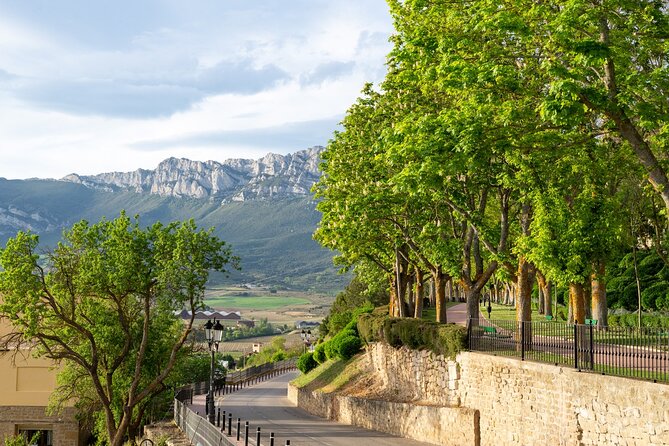 Full Day Private Rioja Wine Tour Experience From La Rioja - Key Points
