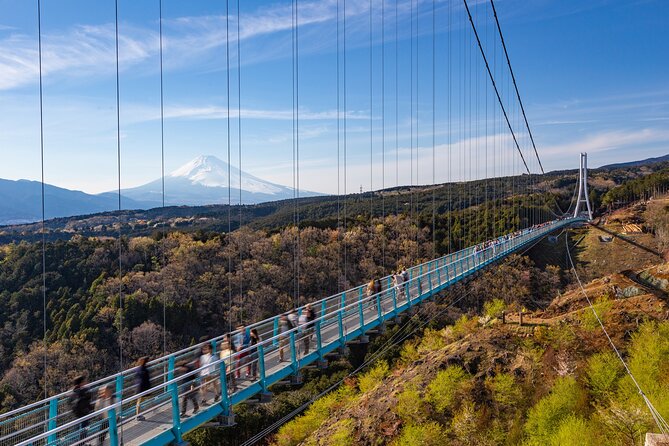 Full Day Private Tour in Hakone - Itinerary