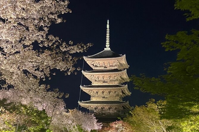 Full Day Private Tour in Kyoto With Pickup - Accessibility and Participation