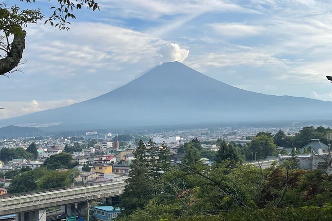 Full Day Private Tour in Mount Fuji and Hakone - Pricing and Booking