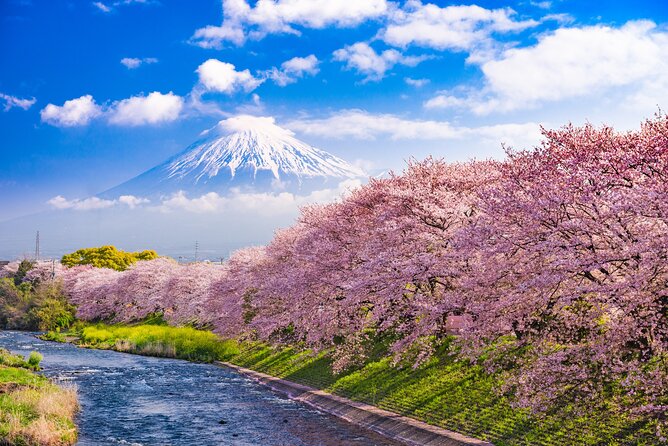Full Day Private Tour Mt. Fuji, Hakone and Lake Ashi - Activities and Amenities