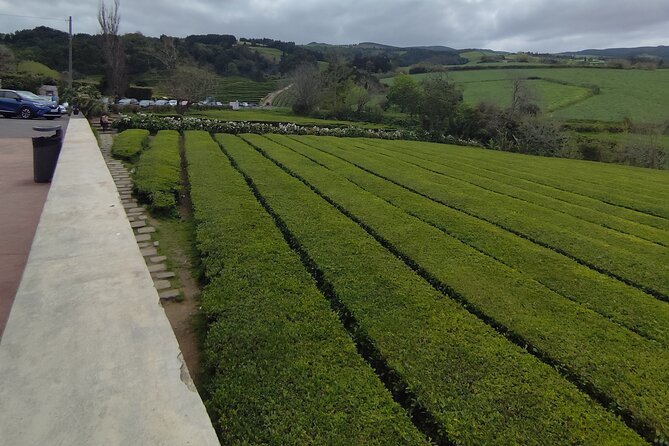 Full Day Private Tour to Lagoa Do Fogo and Furnas - Scenic Stops Along the Way