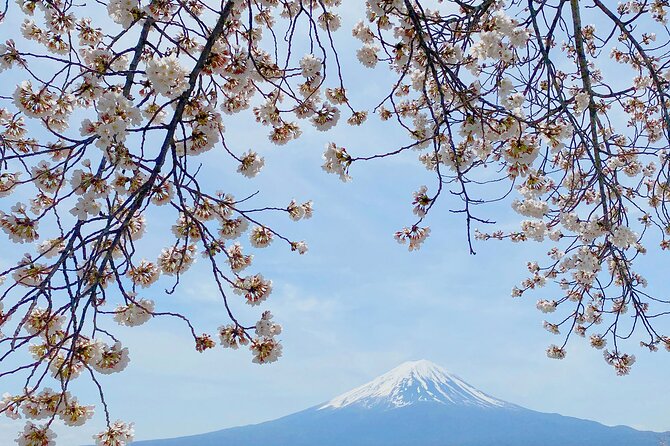 Full Day Private Tour to Mt Fuji by Luxury Vehicle - Accessibility and Participation