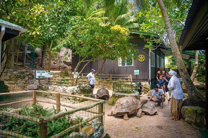 Full Day Reef Safari - St Anne Marine Park Seychelles - Accessibility Information
