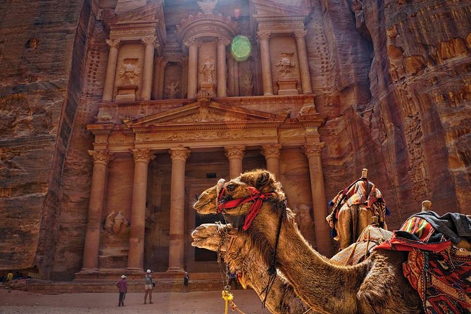 Full-Day Shore Excursion to Petra From Aqaba Port - Pickup and Transportation Details