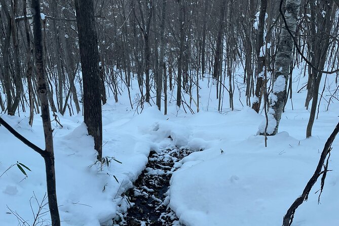 Full Day Snowshoeing Adventures With Onsen. - Meeting and Pickup Details