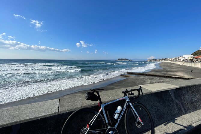 Full-Day Sport Cycle Rental - Accessibility and Recommendations