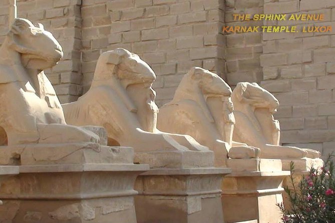 Full Day Tour: East And West Banks Of Luxor - Inclusions and Amenities