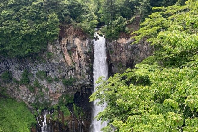 Full Day Tour in Nikko With Pickup - Accessibility