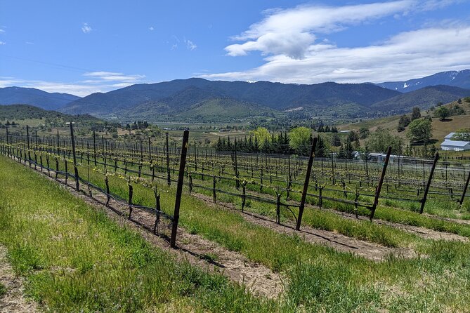 Full-Day Tour of Rogue Valley Wineries - Transportation and Logistics