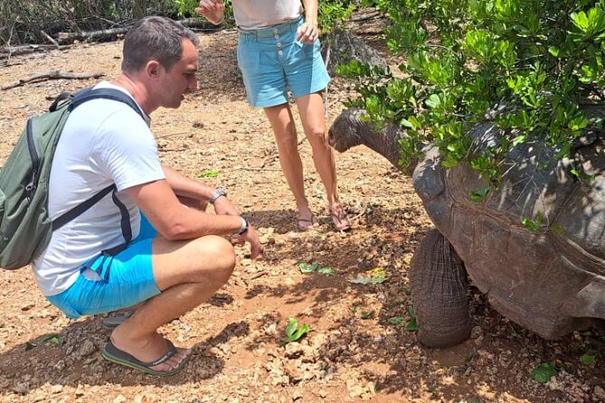 Full Day Trip Prison Island and Nakupenda Sandbank - Meeting and Pickup Details