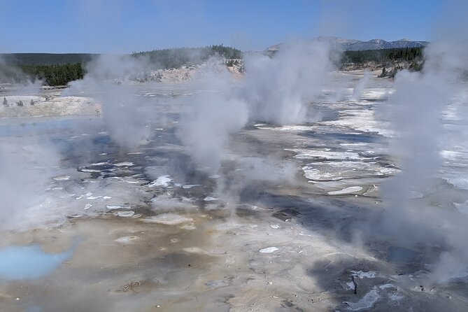 Full-Day Yellowstone Upper (Northern) Loop Tour - Tour Experience