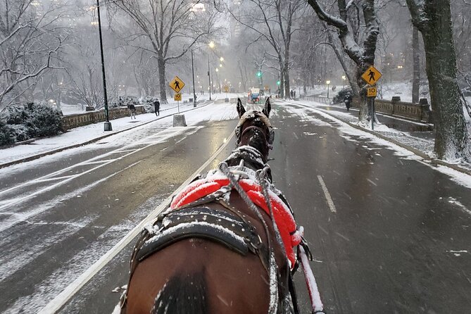 Full Loop Private Horse Carriage Ride in Central Park 45 Minutes - Inclusions and Accessibility