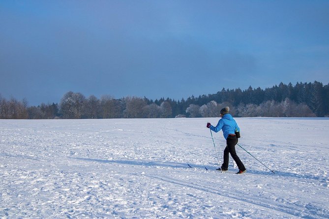 Fun and Adventure: Sledge Run in Czech Mountains - Pricing and Booking Details