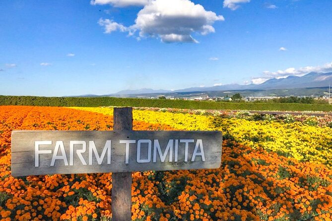 Furano & Biei 4 Hour Tour: English Speaking Driver Only, No Guide - Tour Inclusions and Exclusions