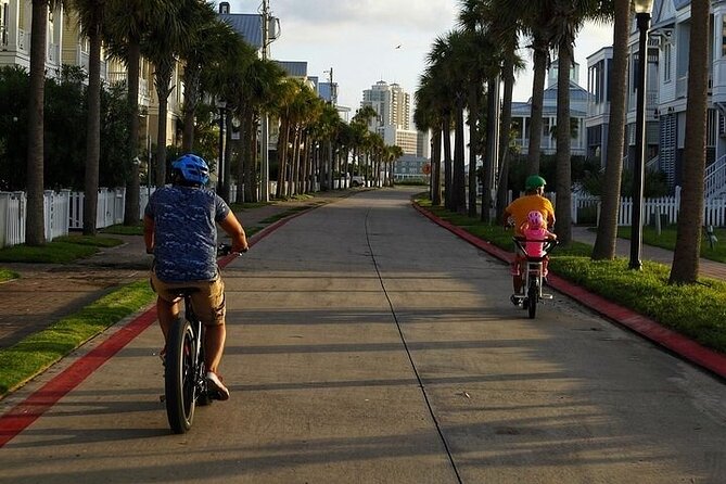 Galveston Island Art & Mural E-Bike Tour - Artistic Landscapes and Seascapes