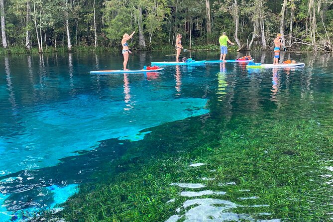 Gator Viewing Clear Kayak Springs Tour - Cancellation Policy